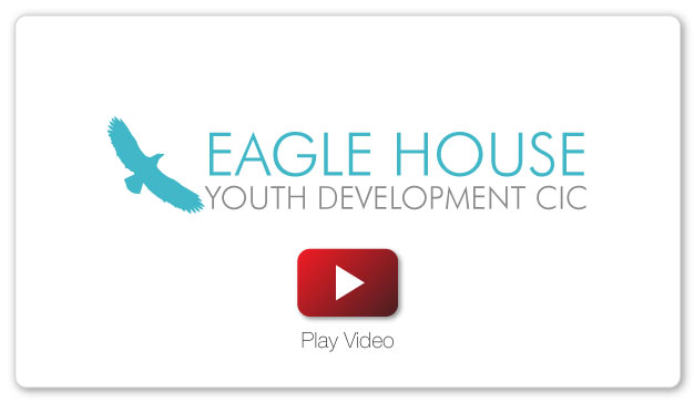 eagle video holder